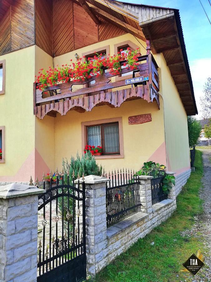 Casa Lacry Hotel Mînăstirea Humorului Buitenkant foto